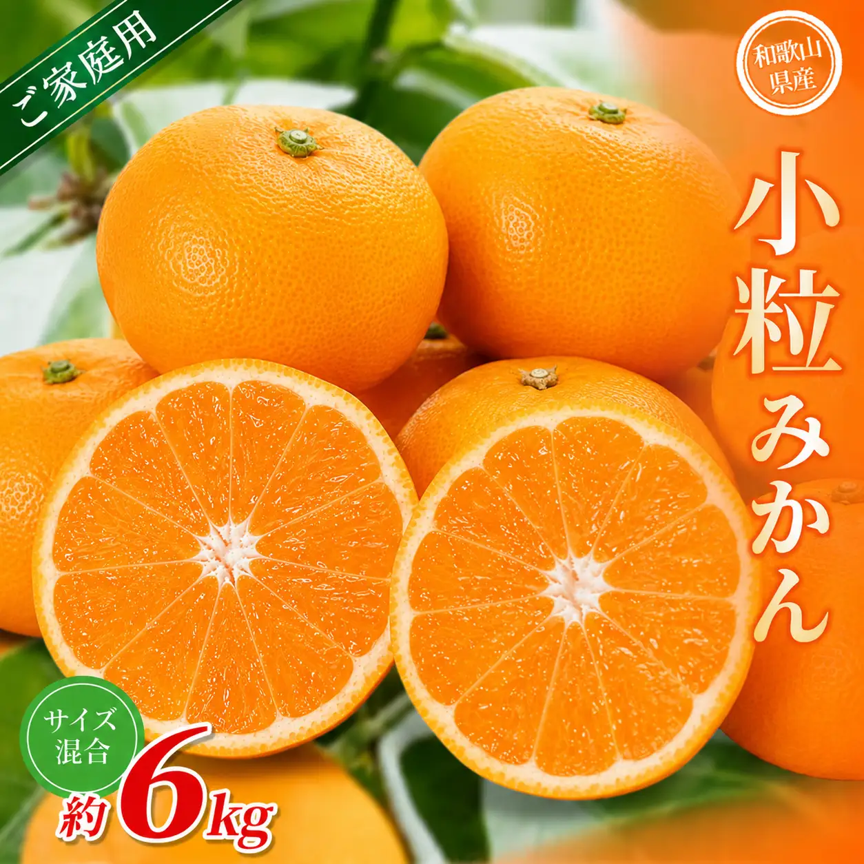小粒みかん 約6kg 【家庭用】 森本農園の手選別 和歌山県産【BV-mrmt062】