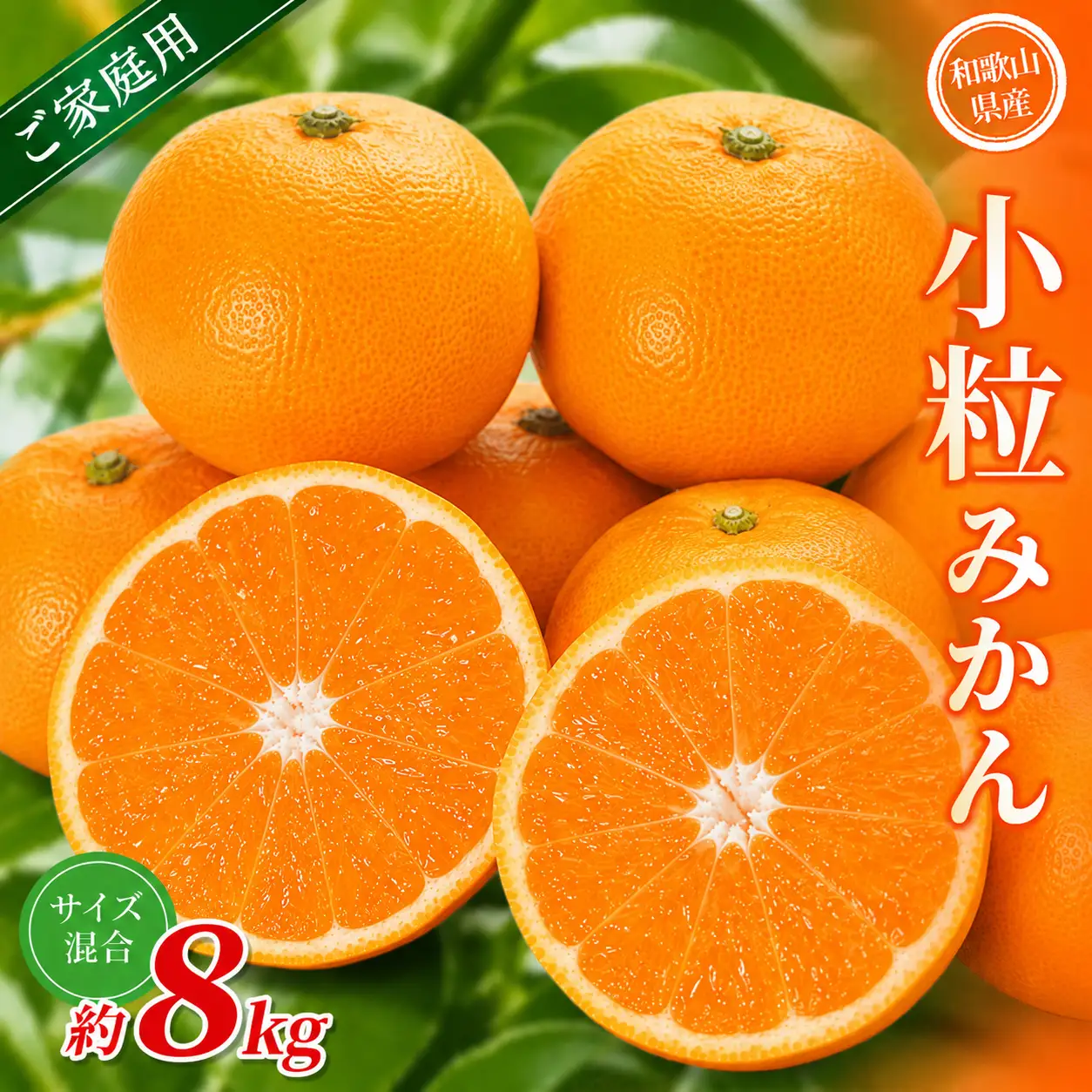 小粒みかん 約8kg 【家庭用】 森本農園の手選別 和歌山県産【BV-mrmt063】