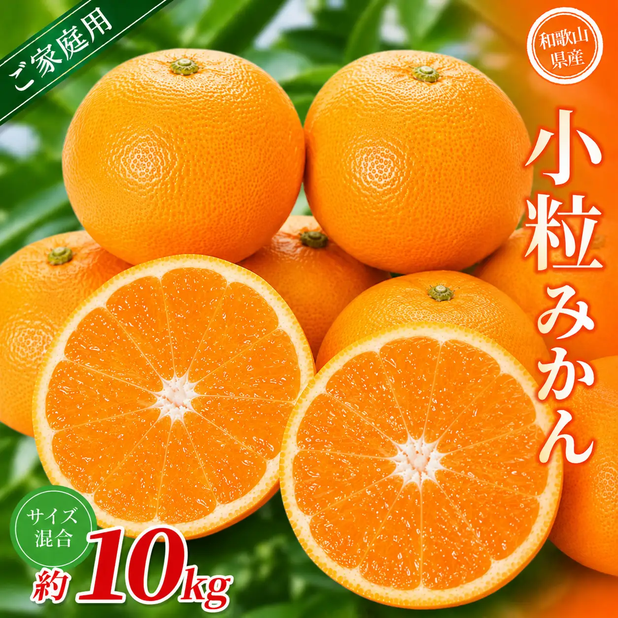 小粒みかん 約10kg 【家庭用】 森本農園の手選別 和歌山県産 【BV-mrmt064】