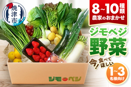 ジモベジ野菜セット (a10-1232)
