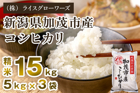【令和8年産新米先行予約】新潟県 加茂市産コシヒカリ 精米15kg（5kg×3）《10月上旬～順次出荷》 （株）ライスグローワーズ
