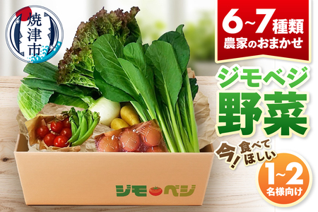 ジモベジ 野菜 ハーフセット (a08-007d)