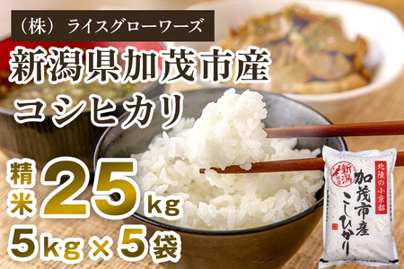 【令和8年産新米先行予約】新潟県 加茂市産コシヒカリ 精米25kg（5kg×5）《10月上旬～順次出荷》 （株）ライスグローワーズ