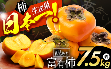  訳あり 富有柿 約 7.5kg| 果物 柿 わけあり