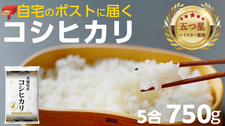 最短翌日出荷!! 【 お試しサイズ 】 コシヒカリ 750g (750g×1袋)  令和7年産 茨城県産 お試し ♪ 5合