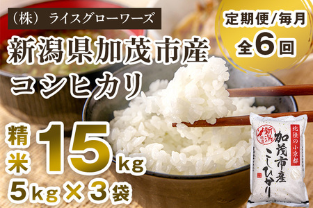 【令和8年産新米先行予約】【定期便6ヶ月毎月お届け】新潟県加茂市産コシヒカリ 精米15kg（5kg×3）《10月上旬～順次出荷》 白米 （株）ライスグローワーズ