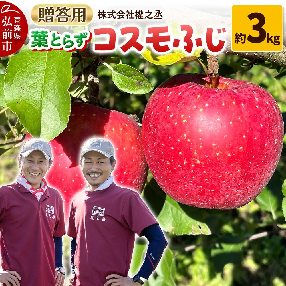 【26年11月下旬～発送】りんご コスモふじ【贈答用】約3kg 權之丞 葉とらずりんご 青森りんご 先行受付 青森県 弘前市 果物 フルーツ 林檎 リンゴ くだもの ギフト 贈り物