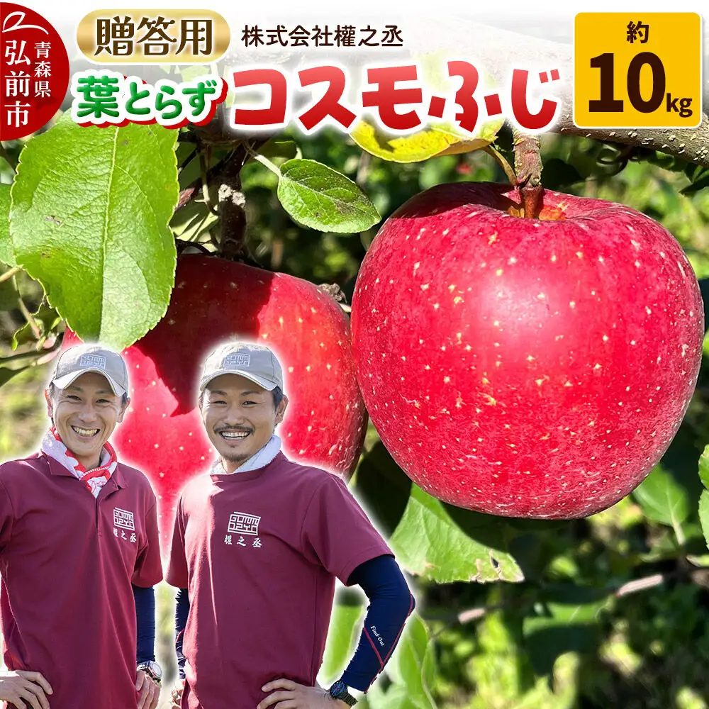 【26年11月下旬～発送】りんご コスモふじ【贈答用】約10kg 權之丞 葉とらずりんご 青森りんご 先行受付 青森県 弘前市 果物 フルーツ 林檎 リンゴ くだもの ギフト 贈り物