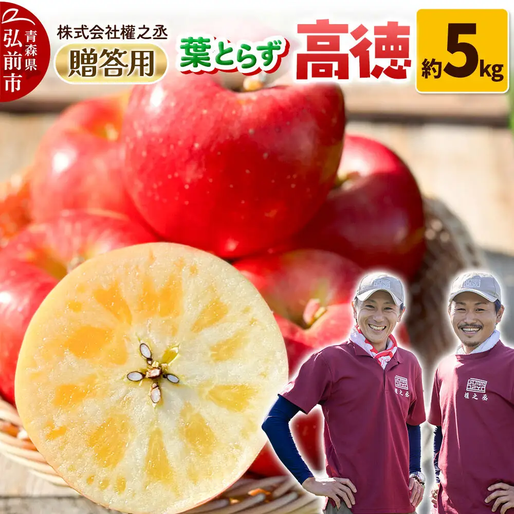 【26年11月～発送】りんご 高徳（こうとく）【贈答用】約5kg 權之丞 葉とらずりんご 青森りんご 先行受付 青森県 弘前市 果物 フルーツ 林檎 リンゴ くだもの ギフト 贈り物