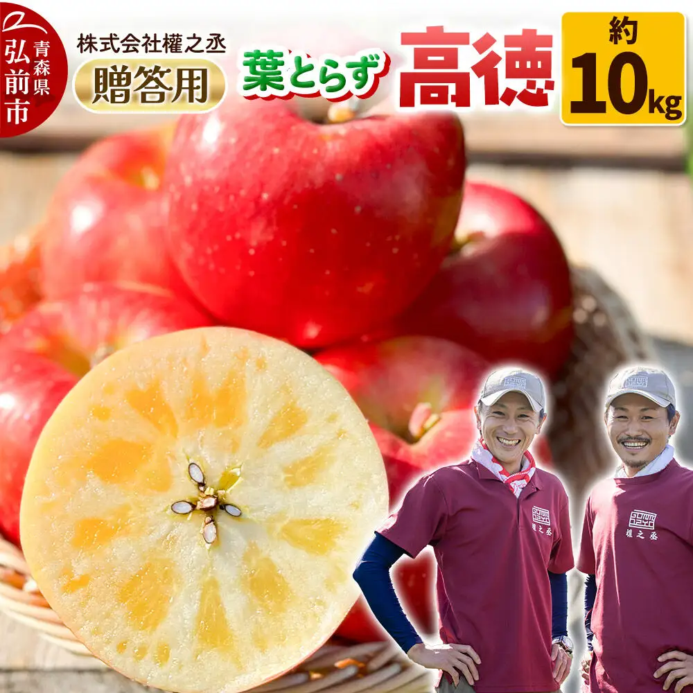 【26年11月～発送】りんご 高徳（こうとく）【贈答用】約10kg 權之丞 葉とらずりんご 青森りんご 先行受付 青森県 弘前市 果物 フルーツ 林檎 リンゴ くだもの ギフト 贈り物