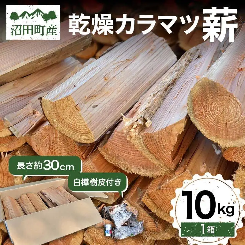 沼田町産 乾燥カラマツ薪 長さ約30cm 10kg 白樺樹皮付き キャンプ アウトドア用品 n-0088