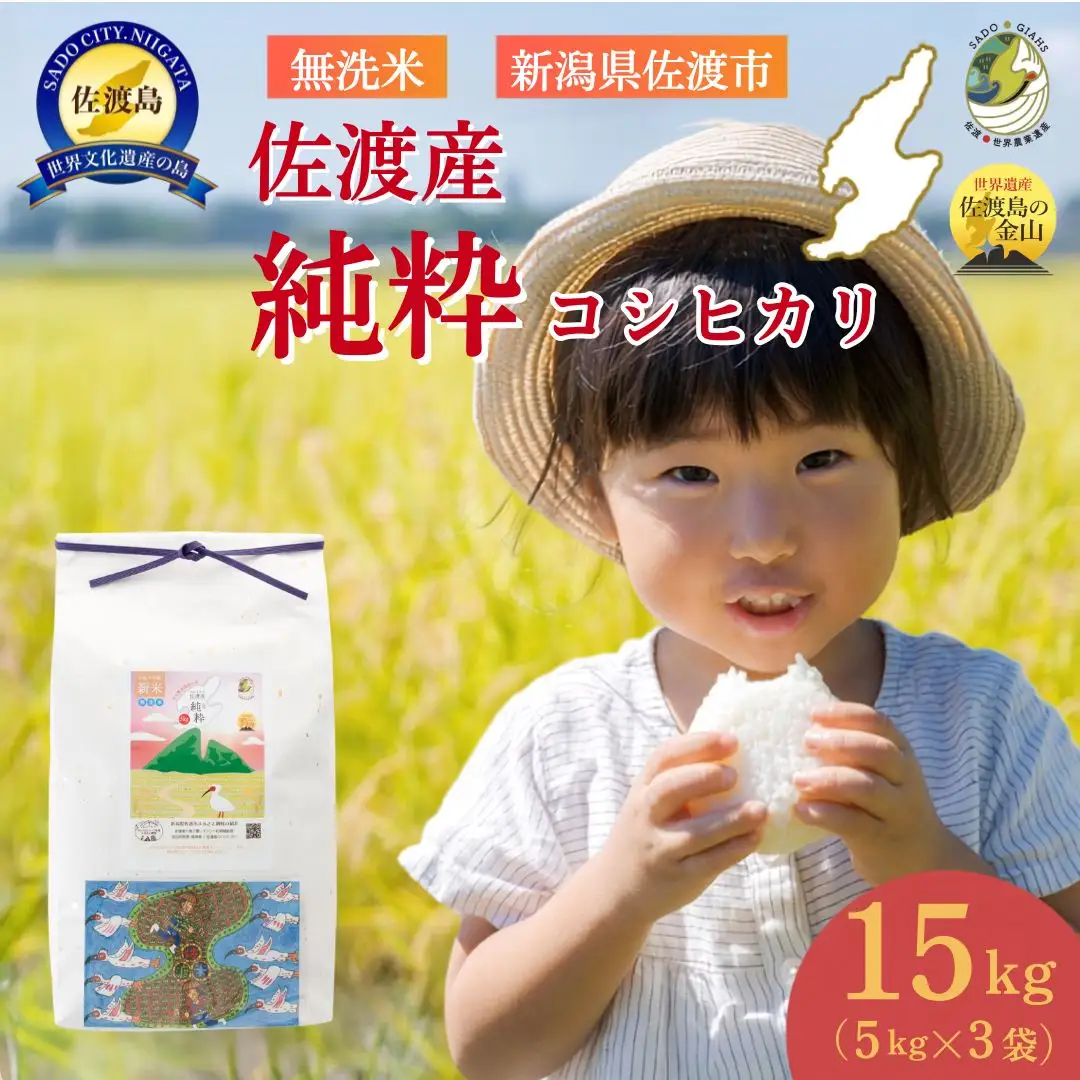 【新潟県佐渡】佐渡産の純粋コシヒカリ15kg＜数量限定＞ 令和7年産 精米【無洗米】5kg×3袋