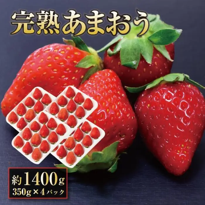 【2027年1月～2月出荷予定】完熟 あまおう イチゴ 350g×4パック(約1400g)＜配送不可：北海道、沖縄県、離島＞