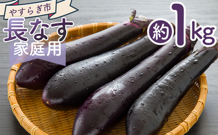【2026年10月中旬以降発送】長なす １ｋｇ 家庭用 yr-0070