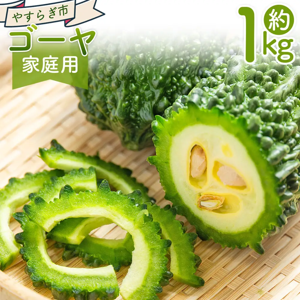 【2026年10月以降発送】ゴーヤ 1ｋｇ 家庭用 ゴーヤ yr-0073