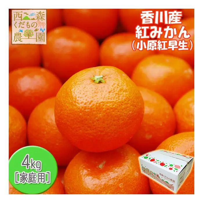 『2026年12月より順次発送』香川オリジナル品種「紅みかん(小原紅早生)」4kg