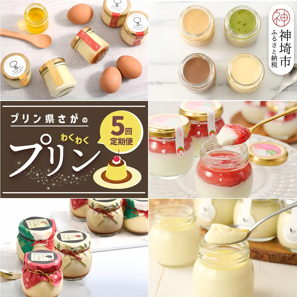 「プリン県さが」のわくわくプリン定期便〈5回定期便〉 (H996P130)