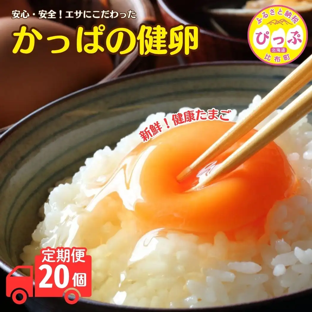 かっぱの健卵 20個 3か月定期便【大熊養鶏場】たまご 卵 玉子 タマゴ 生卵 こだわり 卵かけご飯 TKG 国産 お取り寄せ 北海道 比布町 ぴっぷ 1006-005