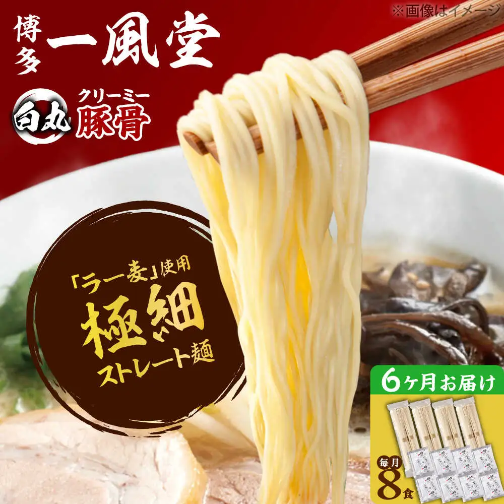 【全6回定期便】ラー麦使用「一風堂」とんこつラーメン 白丸(8食)[BGAD032]