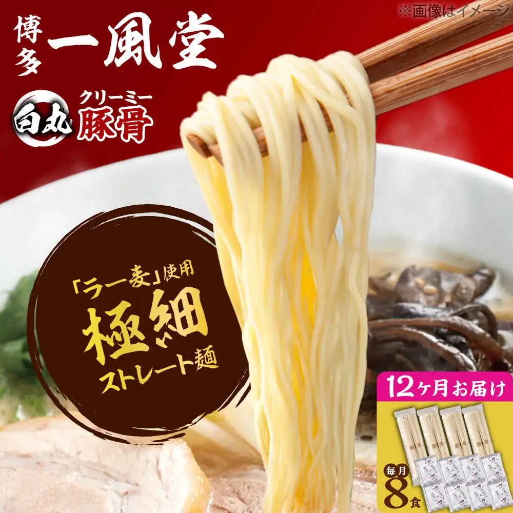 【全12回定期便】ラー麦使用「一風堂」とんこつラーメン 白丸(8食)[BGAD033]