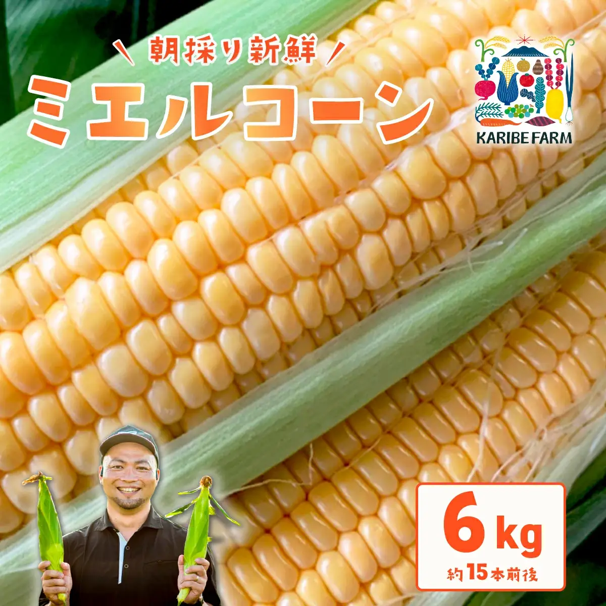 とうもろこし ミエルコーン 約6kg 茨城県産 トウモロコシ