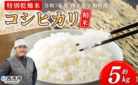 ＜令和7年産 コシヒカリ 5kg＞国産 白米 精米 5キロ 愛媛県産 宇和町産 宇和米 こしひかり お米 米 コメ こめ ご飯 うわまい ライス 特別乾燥米 産地直送 送料無料 特産品 福井ファーム 愛媛県 西予市【常温】『2025年12月中旬から順次発送予定』UFF0001