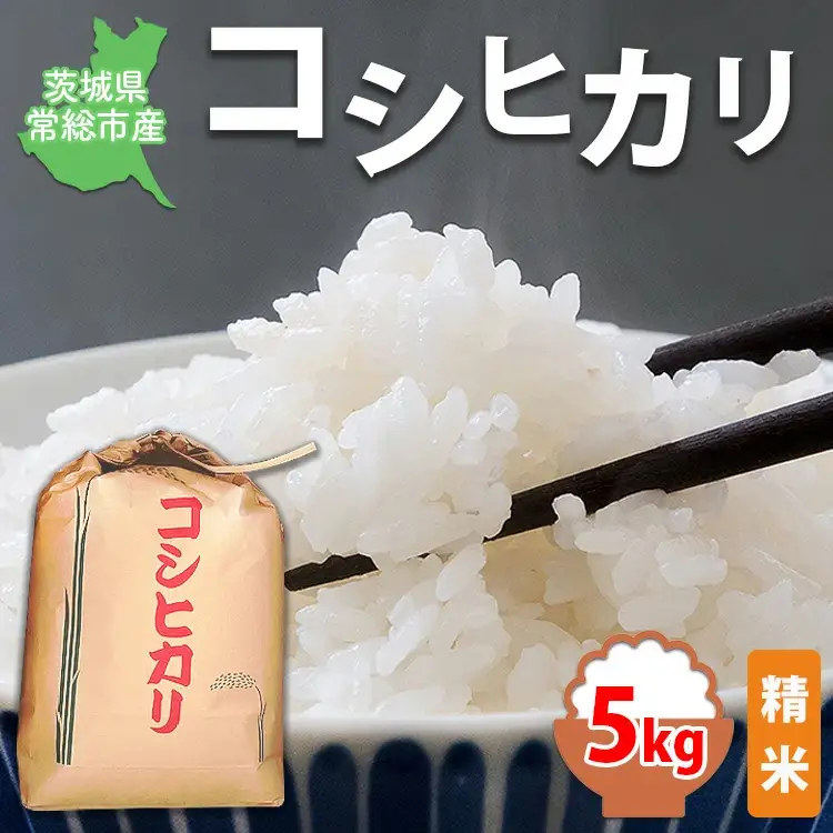 【令和8年産】【精米】コシヒカリ5kg｜茨城県常総市産 精米 米 お米 白米 ご飯 コメ こめ こしひかり ※2026年9月～発送