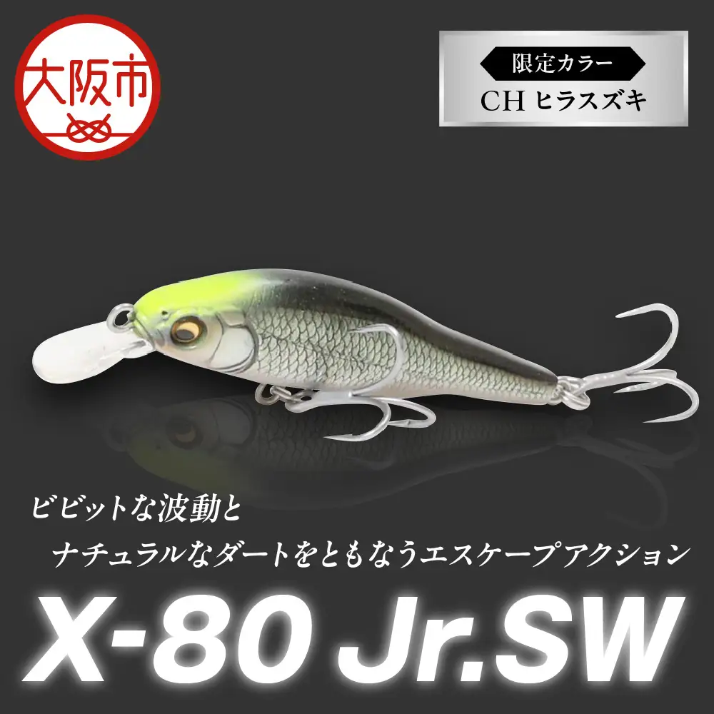 Ｘ-80 JR.SW 限定カラー CH ヒラスズキ 釣り用ルアー_OS226-0035-02