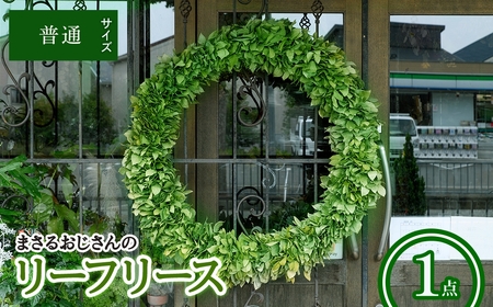まさるおじさんのリーフリース(普通(直径：約30cm)・1点) リース リーフリース グリーンリース ナチュラルリース 天然素材 観葉植物 インテリア 壁掛けリース 玄関リース 成長リース 八意思兼命 知恵の神様 シンプルリース 新登場 【m56-01-A】【Porte-Bonheur】