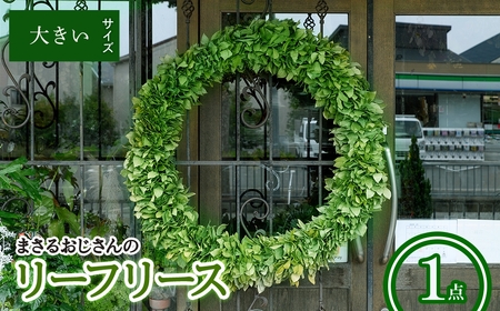 まさるおじさんのリーフリース(大きい(直径：約70-80cm)・1点) リース リーフリース グリーンリース ナチュラルリース 天然素材 観葉植物 インテリア 壁掛けリース 玄関リース 成長リース 八意思兼命 知恵の神様 シンプルリース 新登場 【m56-01-C】【Porte-Bonheur】