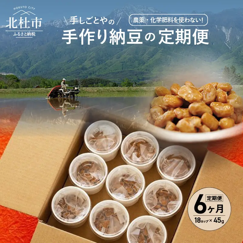【定期便6カ月連続】農薬・化学肥料を使用していない手作り納豆 [h046]