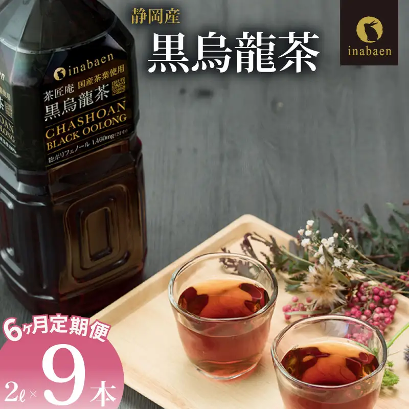 【定期便6か月】 静岡県産 黒烏龍茶 2L × 9本 いなば園 黒烏龍茶