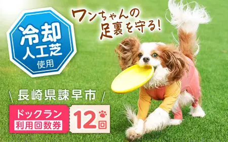 ドッグラン利用券(12回分) / ドッグラン 犬 施設 利用券 利用チケット 回数券 ペット / 諫早市 / 株式会社美泉[AHAP042]