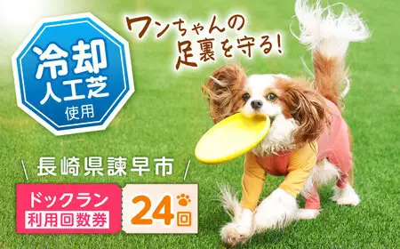 ドッグラン利用券(24回分) / ドッグラン 犬 施設 利用券 利用チケット 回数券 ペット / 諫早市 / 株式会社美泉[AHAP044]