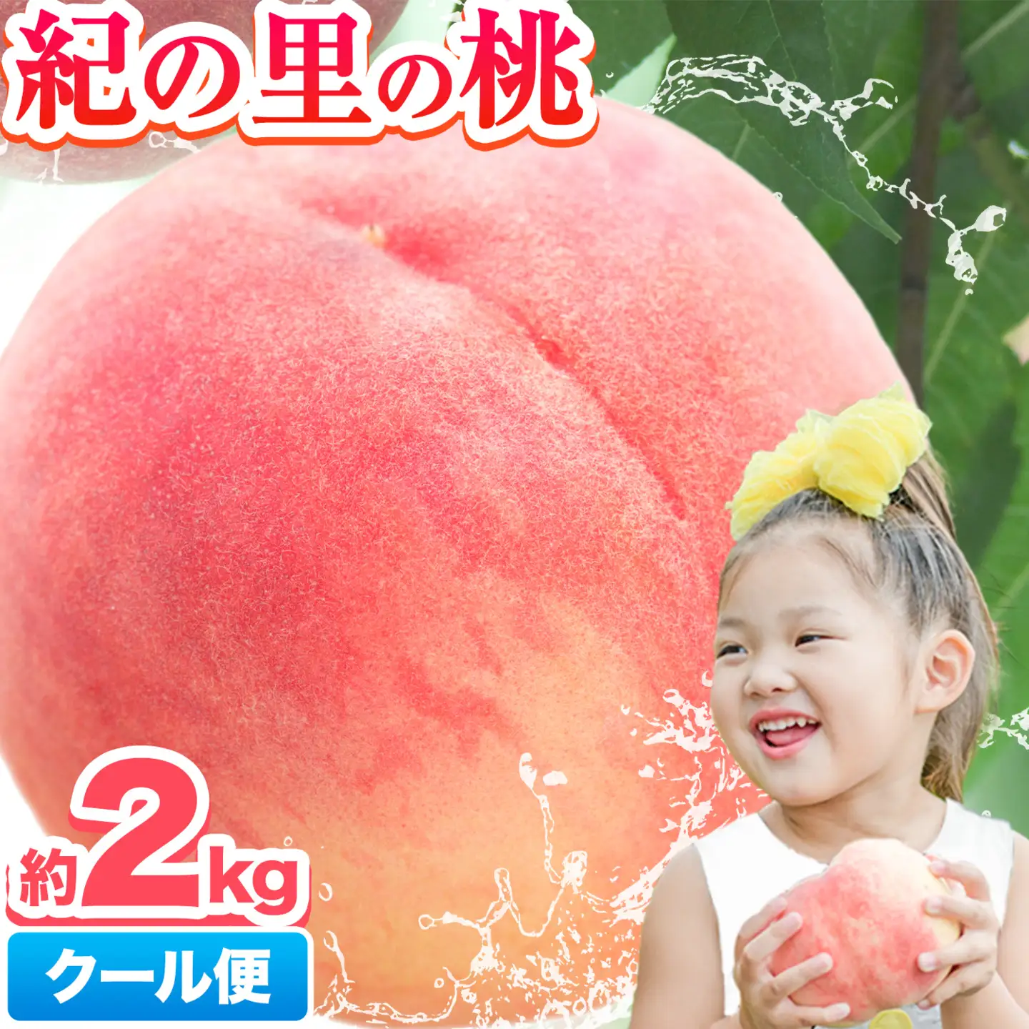 桃 紀の里の桃 約2kg