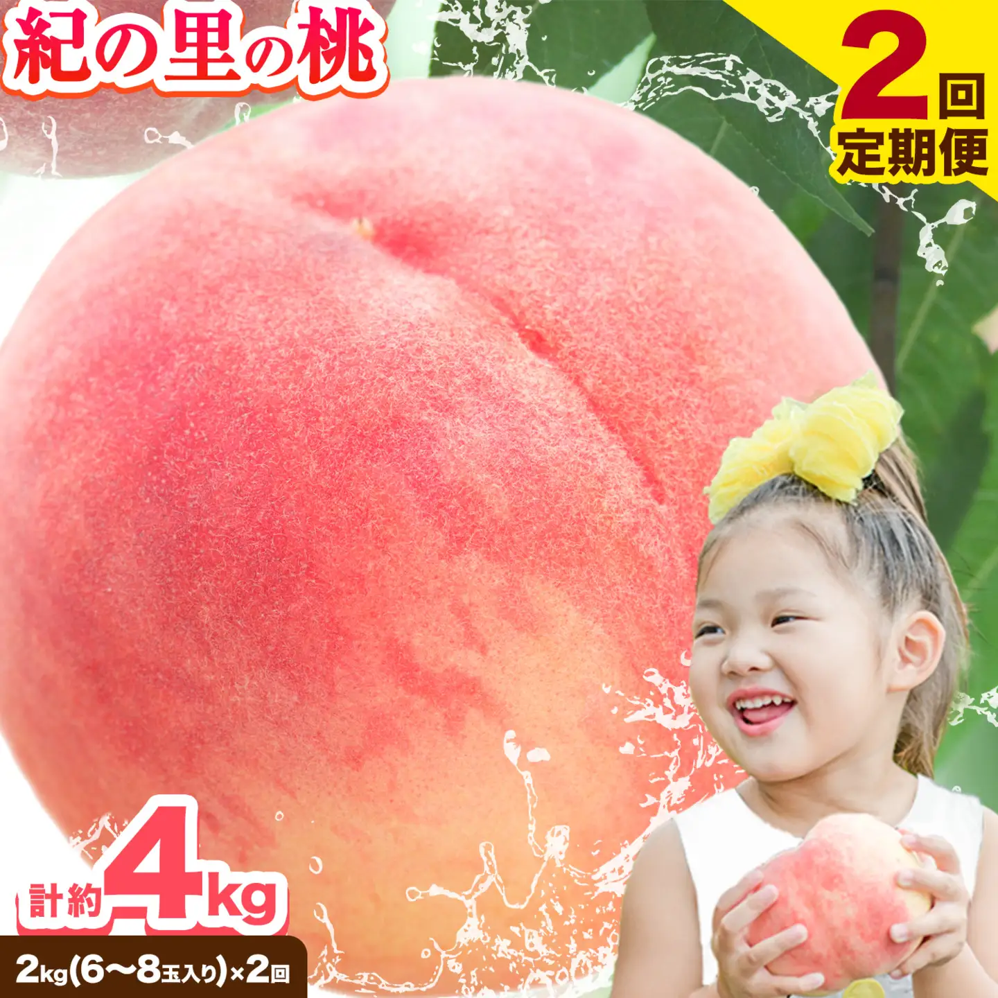 桃 紀の里の桃【2回定期便】約2kg×2回