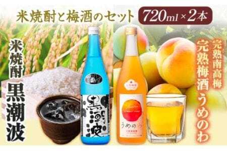 焼酎 焼酎黒潮波 完熟南高梅うめのわ 完熟梅酒 720ml 2本セット 