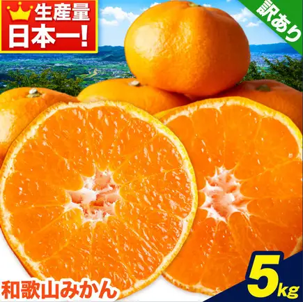 みかん ご家庭用みかん 約5kg