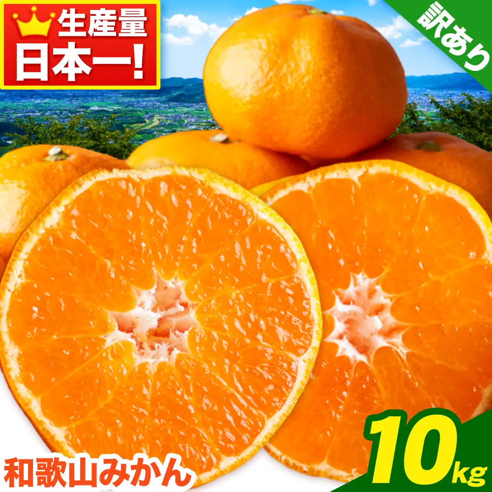 みかん 和歌山みかん 約10kg