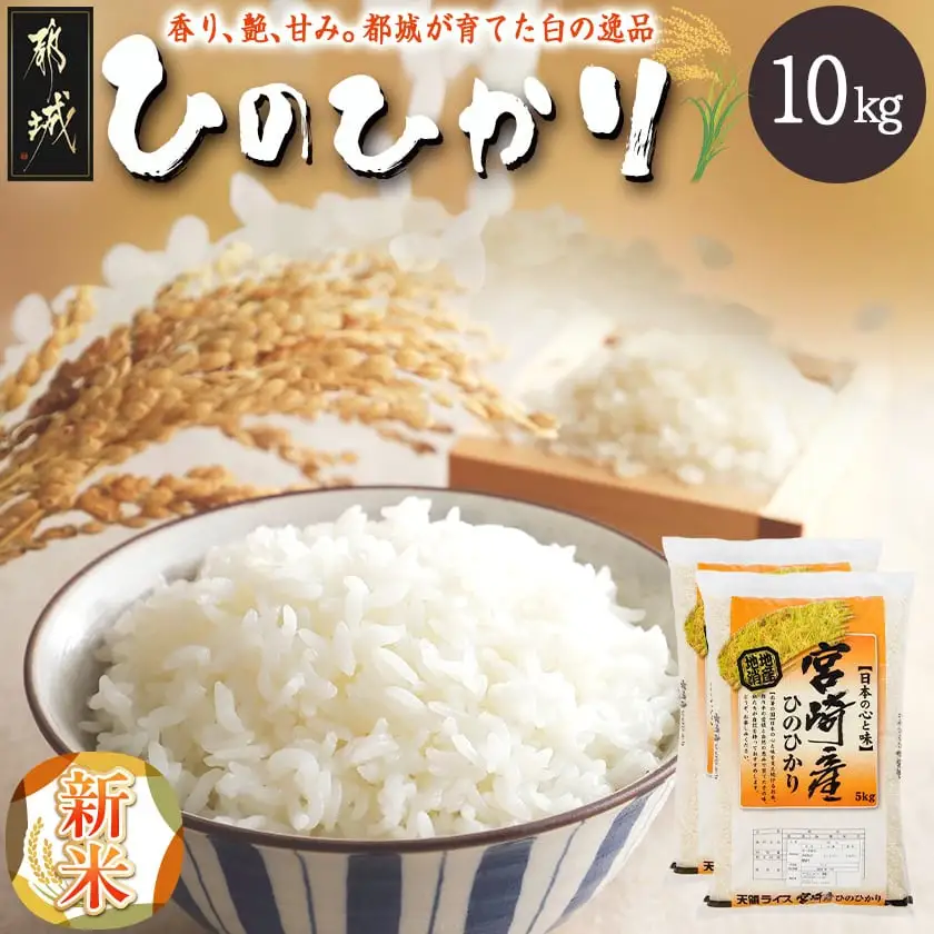 都城産ひのひかり10kg(5kg×2袋)〔24-A701〕_ お米