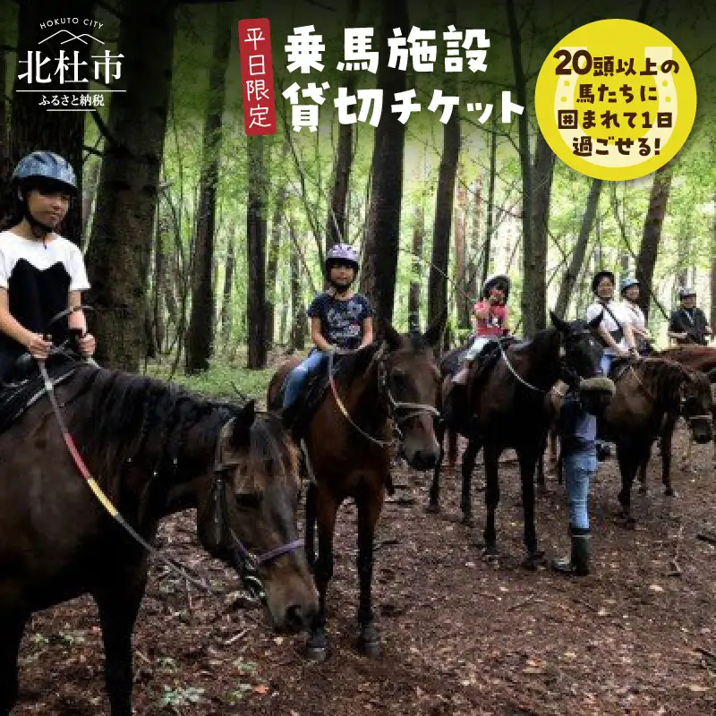 【平日限定】乗馬施設 貸切チケット 乗馬 貸切 チケット 貸切チケット 乗馬体験 平日限定 最大25名様 グループ ファミリー 家族 馬20頭以上 体験 [h034]