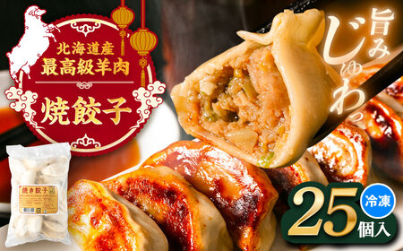 羊肉 焼き餃子 25個×1  [BEAD017] 羊焼ぎょうざ