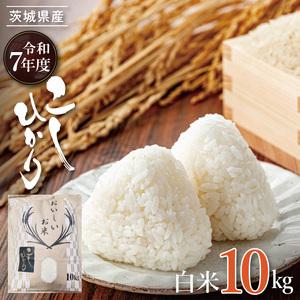 R7年産 コシヒカリ 白米10kg|お米 米 こしひかり コシヒカリ 白米 茨城県 取手市（BQ001）