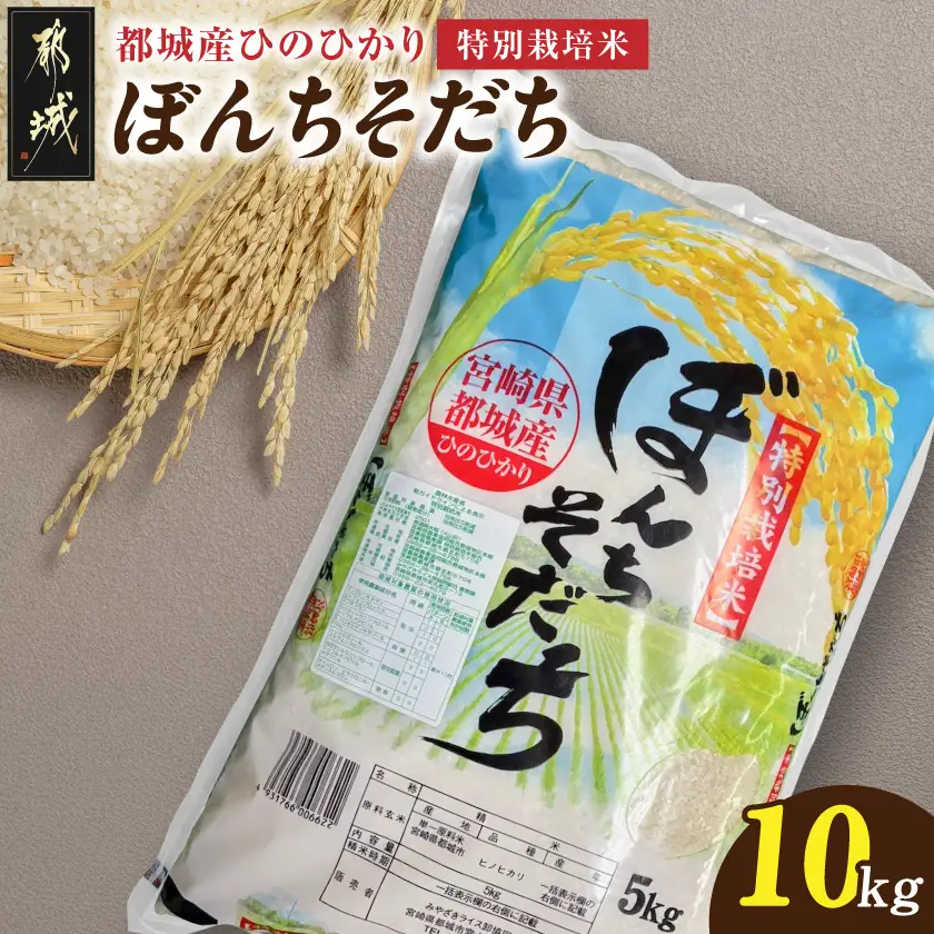都城産ひのひかり特別栽培米「ぼんちそだち」10kg(5kg×2袋)〔21-N5-001-10kg〕_(都城市) 都城産 お米 10kg 5kg×2 ひのひかり ぼんちそだち