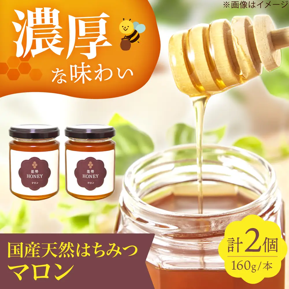 蜂蜜 能勢HONEY 160g×2本 [AOBA004] 蜂蜜