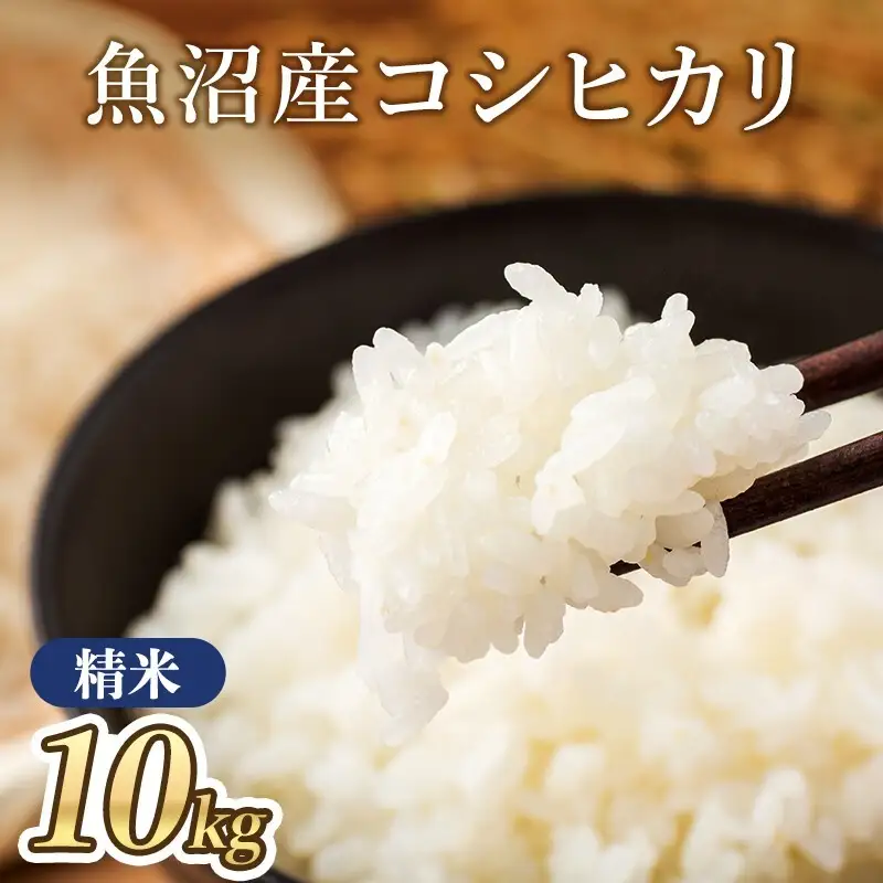 【令和7年産】魚沼産コシヒカリ(精米)10kg
