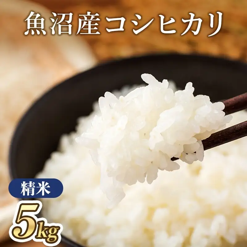 【令和7年産】魚沼産コシヒカリ(精米)5kg