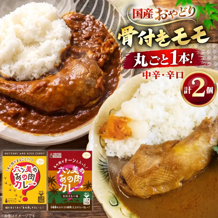 レトルト カレー 国産 骨付きモモ 1本 六ツ美のあの肉カレー MIX 中辛 辛口 各1個 計480g セット