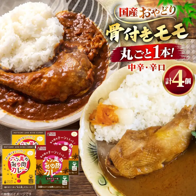 レトルト カレー 国産 骨付きモモ 1本 六ツ美のあの肉カレー MIX 中辛 辛口 各2個 計960g セット