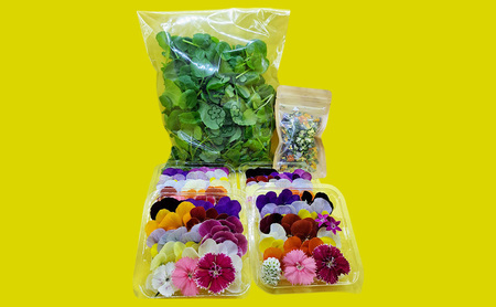 エディブルフラワーセット 食用花Dセット エディブルフラワーセット【生花20輪×4パック クレソン80g ドライ2g】